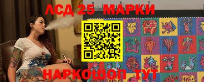 амф Гусев