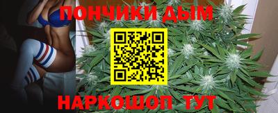 амф Гусев