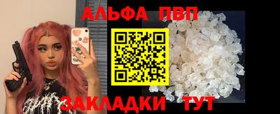 амф Гусев