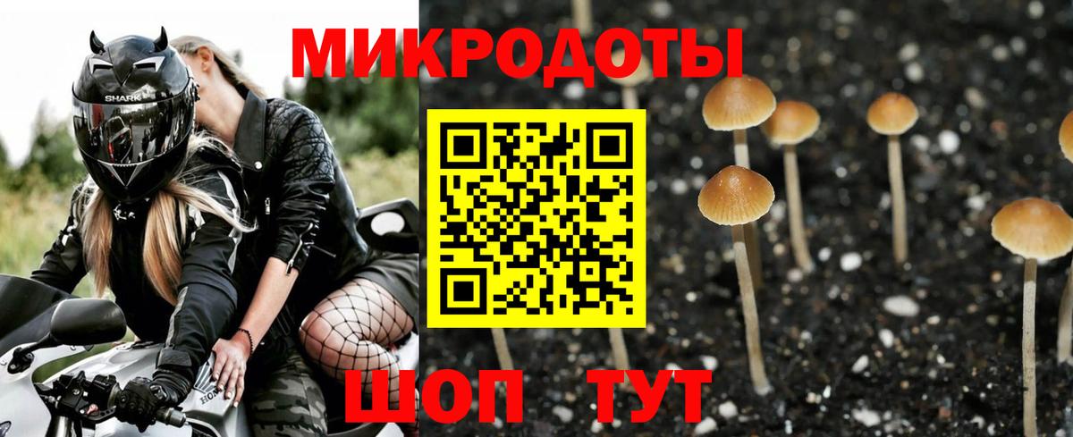 Псилоцибиновые грибы Psilocybe  Вход с VPN  наркота  Галлюциногенные грибы мицелий  Павлово 