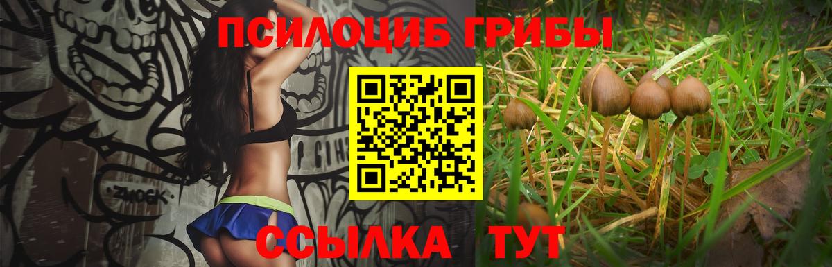 Псилоцибиновые грибы ЛСД Павлово